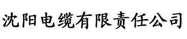 91抖音成长人版电缆厂logo